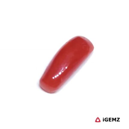 2.245 ct Red Coral - iGemz32923 gemstone for sale at igemz.co.za
