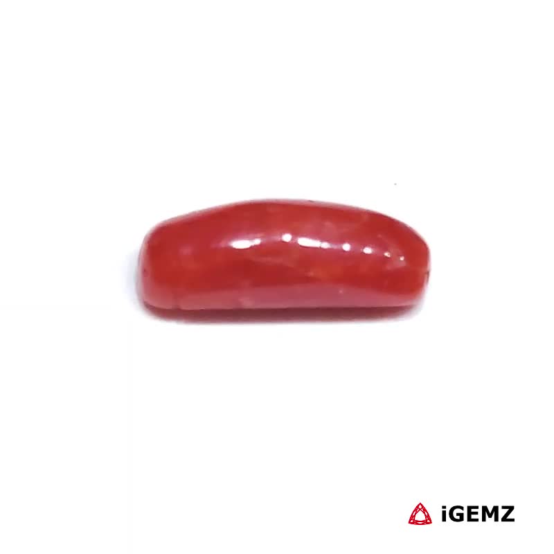 iGemz32924.1 2.02 ct Red Coral - iGemz32924 gemstone for sale at igemz.co.za