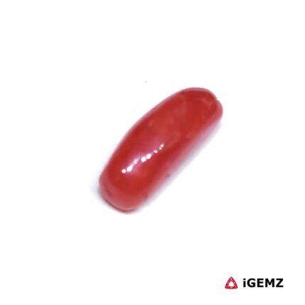 2.02 ct Red Coral - iGemz32924 gemstone for sale at igemz.co.za