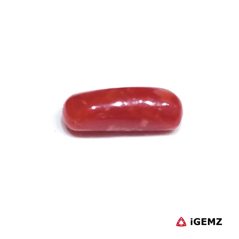 iGemz32925.1 1.895 ct Red Coral - iGemz32925 gemstone for sale at igemz.co.za