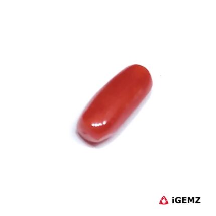 1.705 ct Red Coral - iGemz32926 gemstone for sale at igemz.co.za