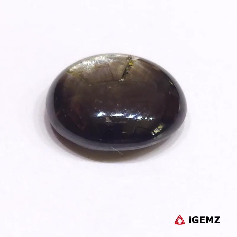 iGemz24728.1 15.9 ct Black Star Sapphire - iGemz24728 gemstone for sale at igemz.co.za