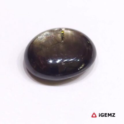 15.9 ct Black Star Sapphire - iGemz24728 gemstone for sale at igemz.co.za