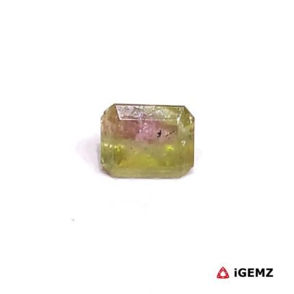0.86 ct Bi-Colour Tourmaline - iGemz27157 gemstone for sale at igemz.co.za
