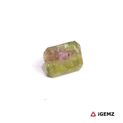 0.86 ct Bi-Colour Tourmaline - iGemz27157 gemstone for sale at igemz.co.za