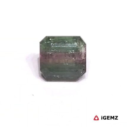 1.82 ct Bi-Colour Tourmaline - iGemz27167 gemstone for sale at igemz.co.za