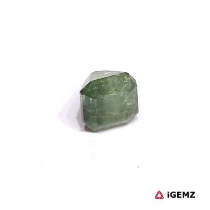 0.925 ct Green Tourmaline - iGemz27173 gemstone for sale at igemz.co.za