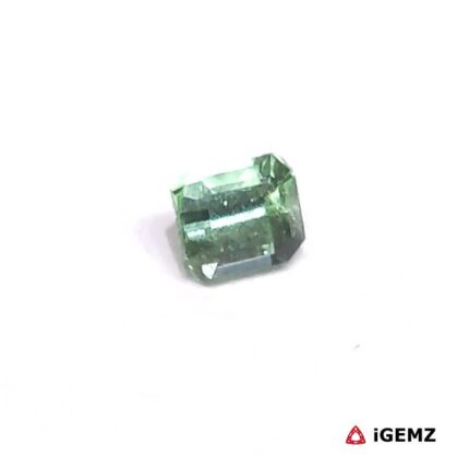 0.665 ct Green Tourmaline - iGemz27201 gemstone for sale at igemz.co.za