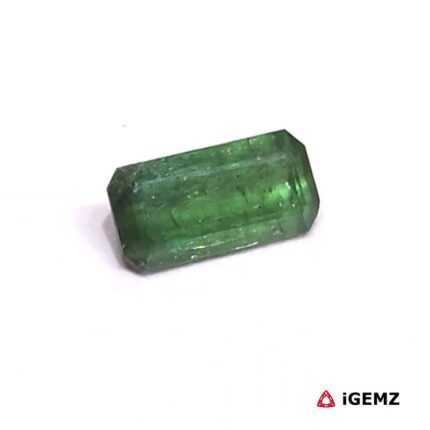 1.225 ct Green Tourmaline - iGemz27204 gemstone for sale at igemz.co.za