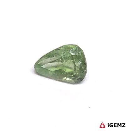 0.965 ct Green Tourmaline - iGemz27214 gemstone for sale at igemz.co.za