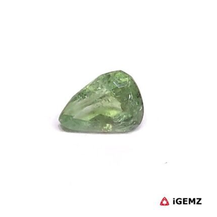 0.965 ct Green Tourmaline - iGemz27214 gemstone for sale at igemz.co.za