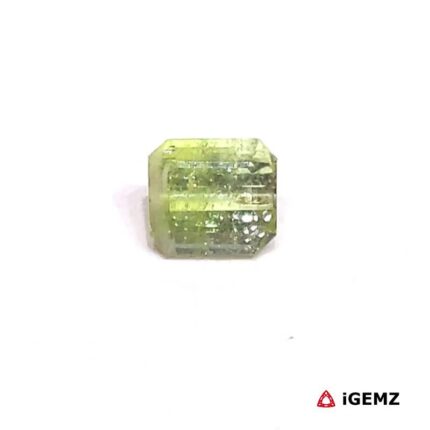 0.825 ct Green Tourmaline - iGemz27239 gemstone for sale at igemz.co.za