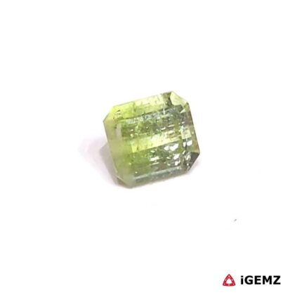0.825 ct Green Tourmaline - iGemz27239 gemstone for sale at igemz.co.za