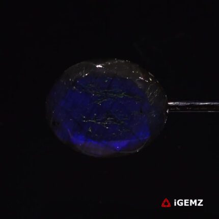 23.26 ct Blue Labradorite - iGemz27354 gemstone for sale at igemz.co.za