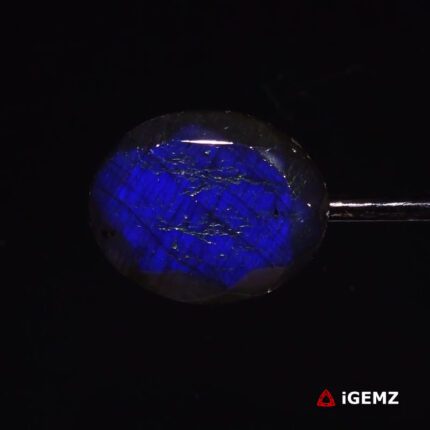 23.26 ct Blue Labradorite - iGemz27354 gemstone for sale at igemz.co.za
