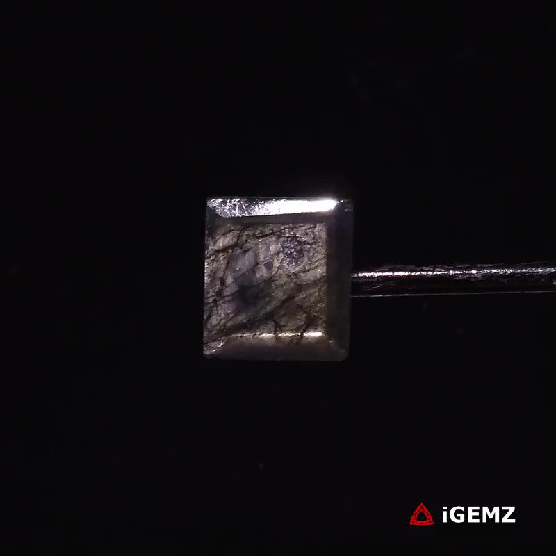 iGemz27356.1 6.47 ct Brown Labradorite - iGemz27356 gemstone for sale at igemz.co.za