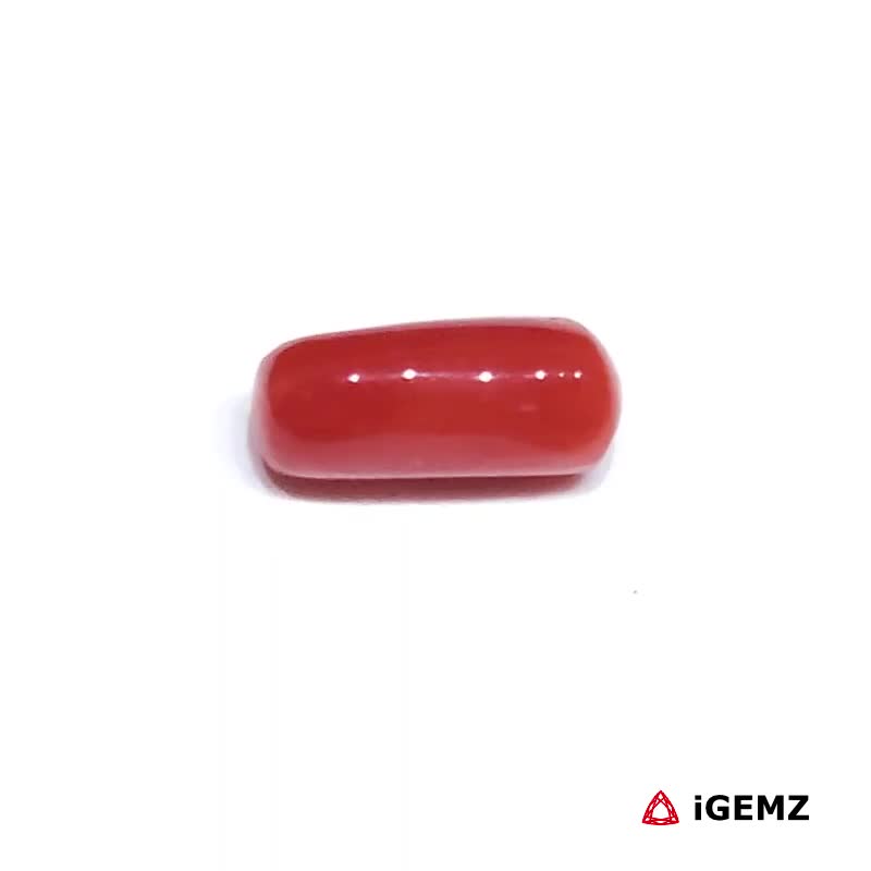 iGemz32883.1 1.675 ct Red Coral - iGemz32883 gemstone for sale at igemz.co.za