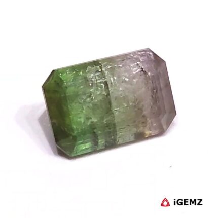 3.925 ct Watermelon Tourmaline - iGemz27175 gemstone for sale at igemz.co.za