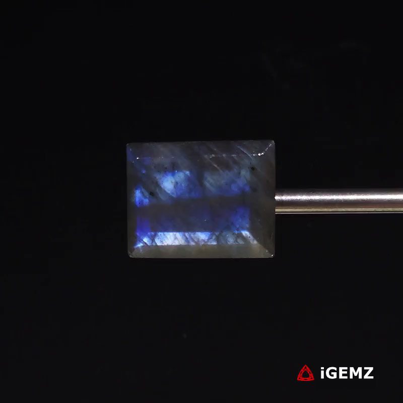 iGemz27324.1 14.21 ct Blue Labradorite - iGemz27324 gemstone for sale at igemz.co.za
