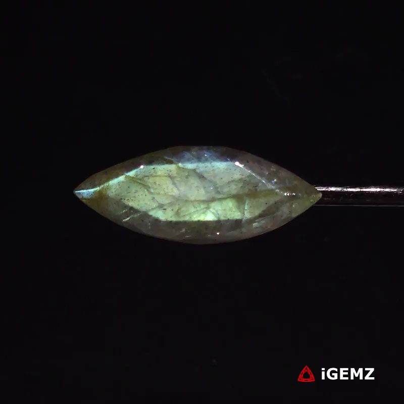 iGemz27333.1 15.55 ct Green Labradorite - iGemz27333 gemstone for sale at igemz.co.za