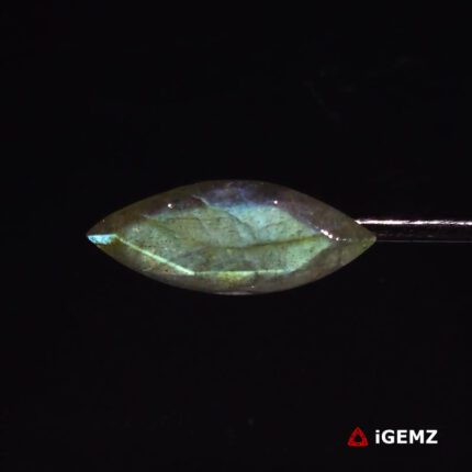 15.55 ct Green Labradorite - iGemz27333 gemstone for sale at igemz.co.za
