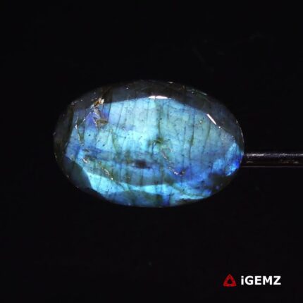 27.7 ct Blue Labradorite - iGemz27339 gemstone for sale at igemz.co.za