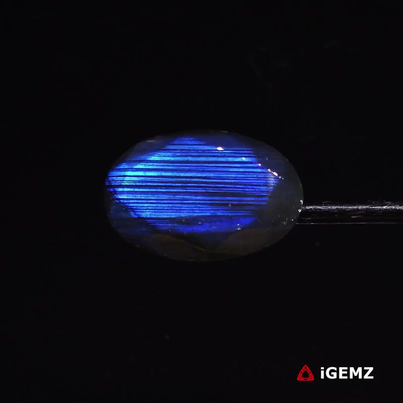 iGemz27340.1 14.97 ct Blue Labradorite - iGemz27340 gemstone for sale at igemz.co.za