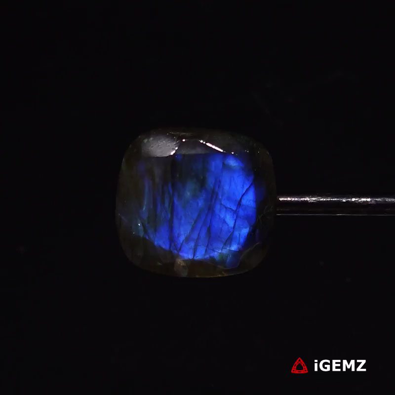 iGemz27342.1 16.56 ct Blue Labradorite - iGemz27342 gemstone for sale at igemz.co.za