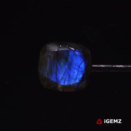 16.56 ct Blue Labradorite - iGemz27342 gemstone for sale at igemz.co.za