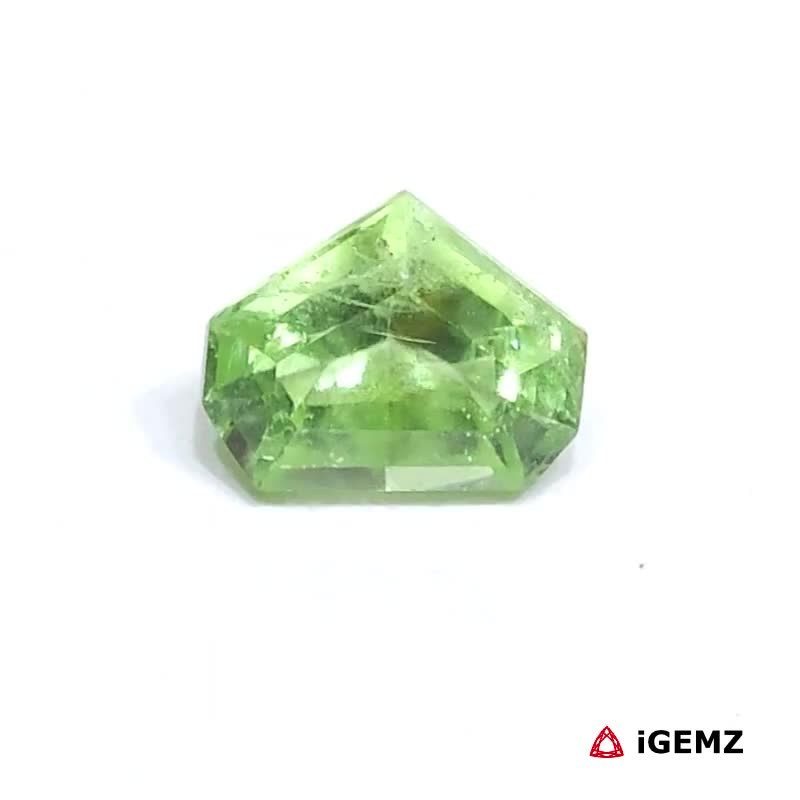 iGemz24995.1 2.32 ct Green Peridot - iGemz24995 gemstone for sale at igemz.co.za