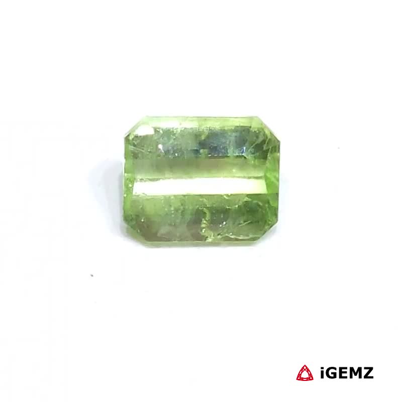 iGemz25009.1 1.57 ct Green Peridot - iGemz25009 gemstone for sale at igemz.co.za
