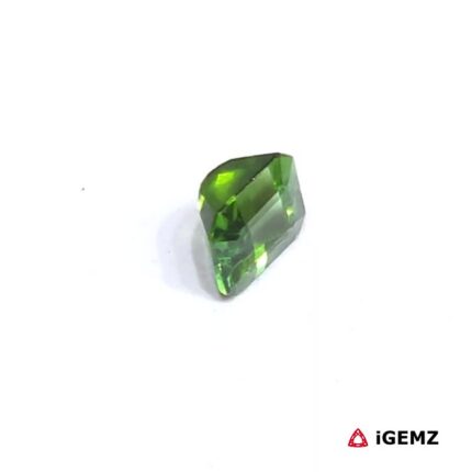 0.62 ct Green Tourmaline - iGemz25020 gemstone for sale at igemz.co.za