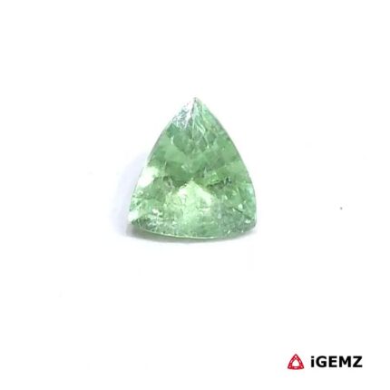 0.84 ct Green Tourmaline - iGemz25048 gemstone for sale at igemz.co.za