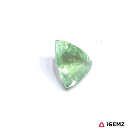 0.84 ct Green Tourmaline - iGemz25048 gemstone for sale at igemz.co.za