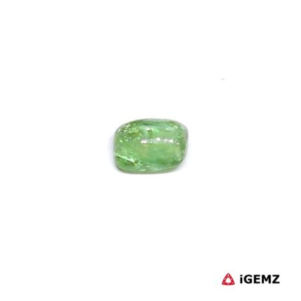 0.81 ct Green Tourmaline - iGemz31646 gemstone for sale at igemz.co.za