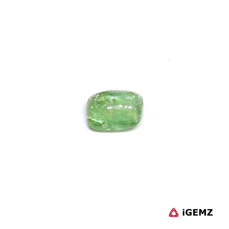 iGemz31646.1 0.81 ct Green Tourmaline - iGemz31646 gemstone for sale at igemz.co.za