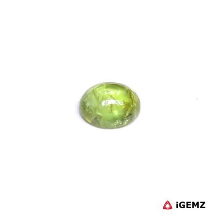 1.06 ct Green Tourmaline - iGemz31652 gemstone for sale at igemz.co.za