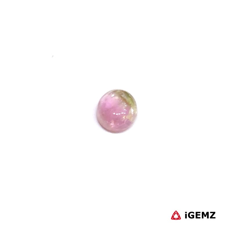 iGemz31663.1 0.51 ct Bi-Colour Tourmaline - iGemz31663 gemstone for sale at igemz.co.za