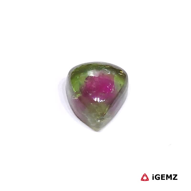 iGemz31681.1 3.04 ct Bi-Colour Tourmaline - iGemz31681 gemstone for sale at igemz.co.za