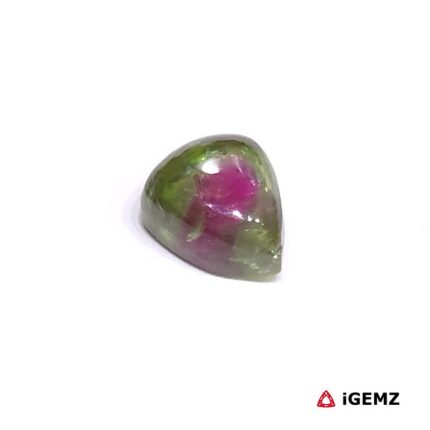 3.04 ct Bi-Colour Tourmaline - iGemz31681 gemstone for sale at igemz.co.za