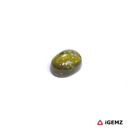 0.91 ct Green Tourmaline - iGemz31695 gemstone for sale at igemz.co.za