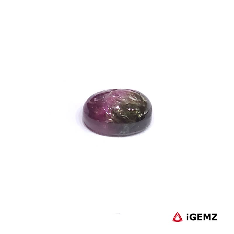 iGemz31698.1 1.26 ct Bi-Colour Tourmaline - iGemz31698 gemstone for sale at igemz.co.za
