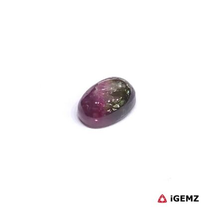 1.26 ct Bi-Colour Tourmaline - iGemz31698 gemstone for sale at igemz.co.za