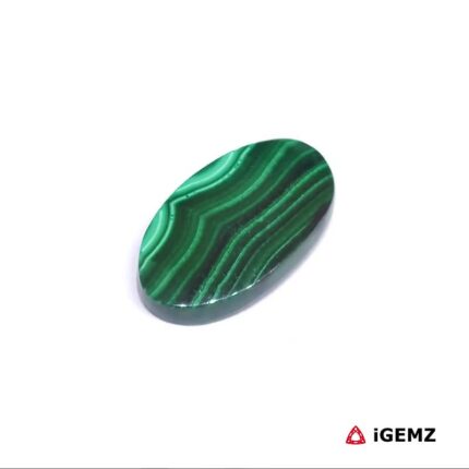 12.63 ct Green Malachite - iGemz33130 gemstone for sale at igemz.co.za