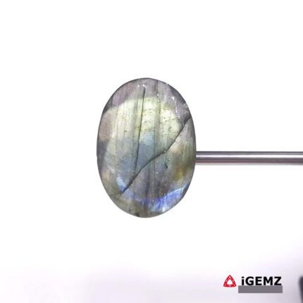 28.3 ct Green Labradorite - iGemz27421 gemstone for sale at igemz.co.za