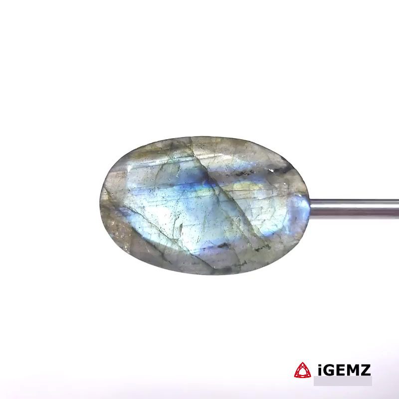 iGemz27422.1 24.66 ct Blue Labradorite - iGemz27422 gemstone for sale at igemz.co.za