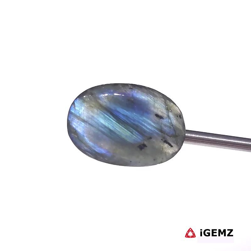 iGemz27426.1 16.83 ct Blue Labradorite - iGemz27426 gemstone for sale at igemz.co.za