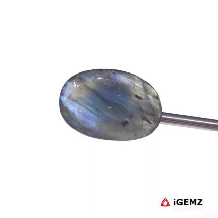 16.83 ct Blue Labradorite - iGemz27426 gemstone for sale at igemz.co.za