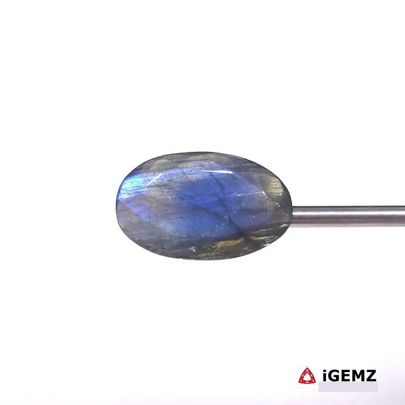 iGemz27432.1 12.65 ct Blue Labradorite - iGemz27432 gemstone for sale at igemz.co.za