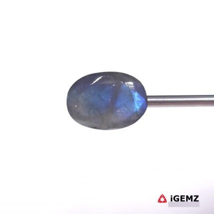 14.03 ct Blue Labradorite - iGemz27439 gemstone for sale at igemz.co.za